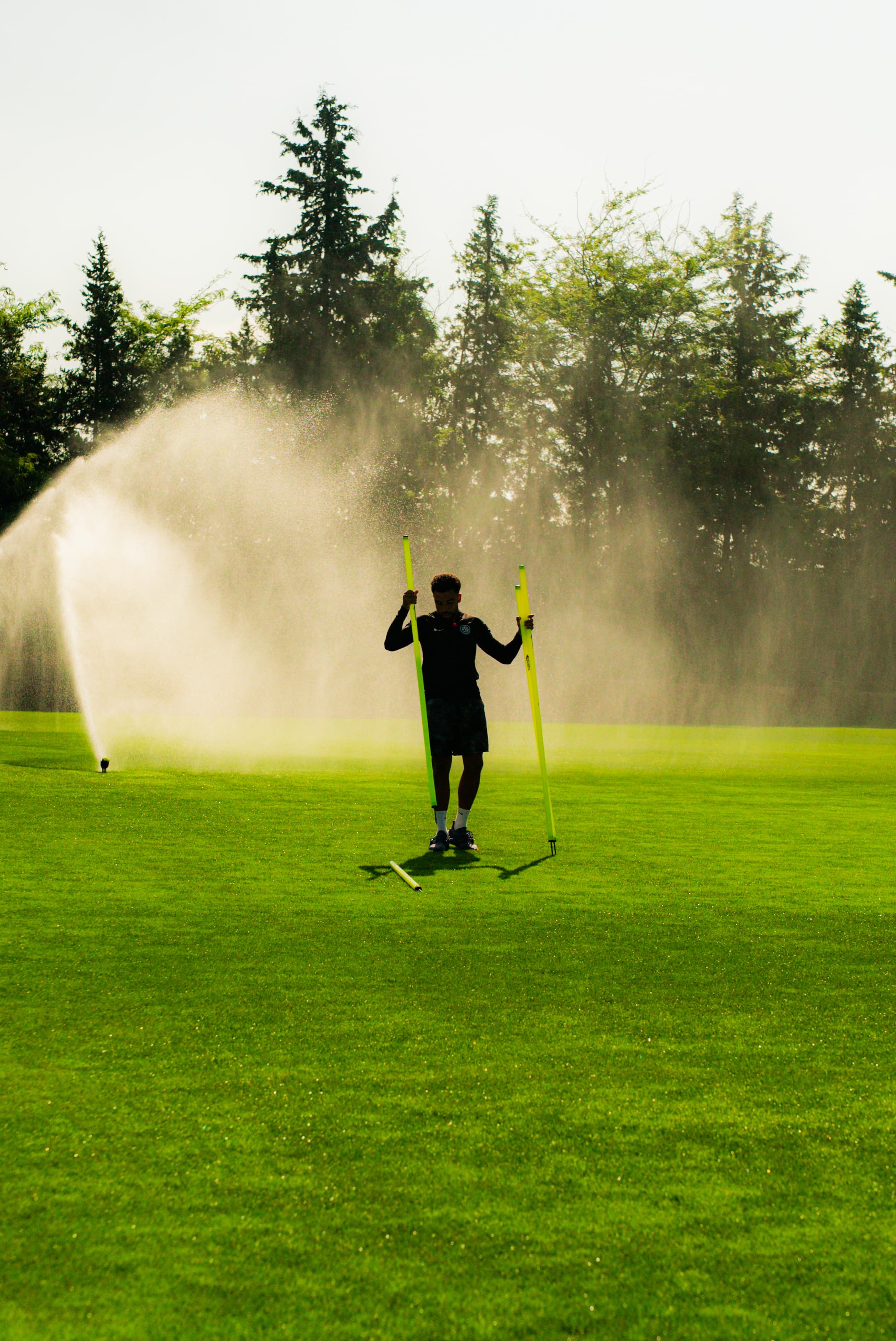 Portfolio background 1